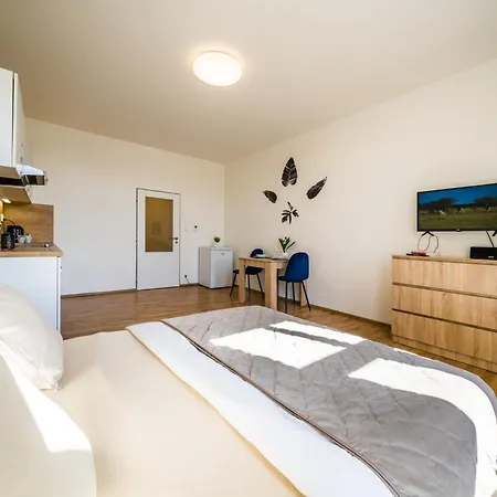 Apartia Vlhka 26, Brno-center Апартаменты Брно