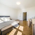 Apartia Vlhka 26, Brno-center *