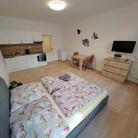 Apartia Vlhka 26, Brno-center Apartment Brno