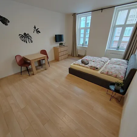 Apartia Vlhka 26, Brno-center Apartment *