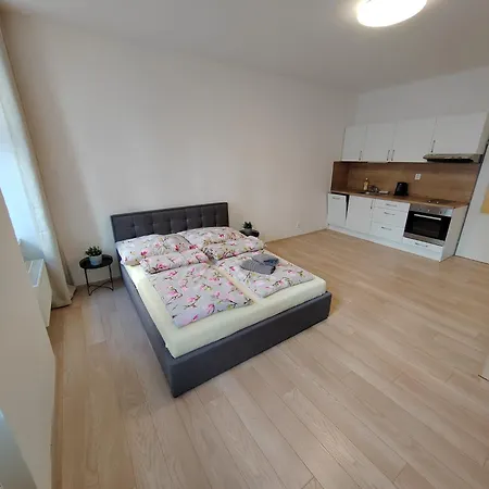Apartment Apartia Vlhka 26, Brno-center
