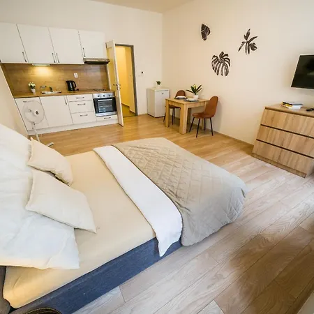 Apartia Vlhka 26, Brno-center Brünn (Brno)